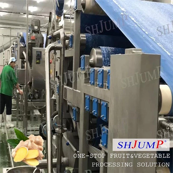 Ginger Processing Line