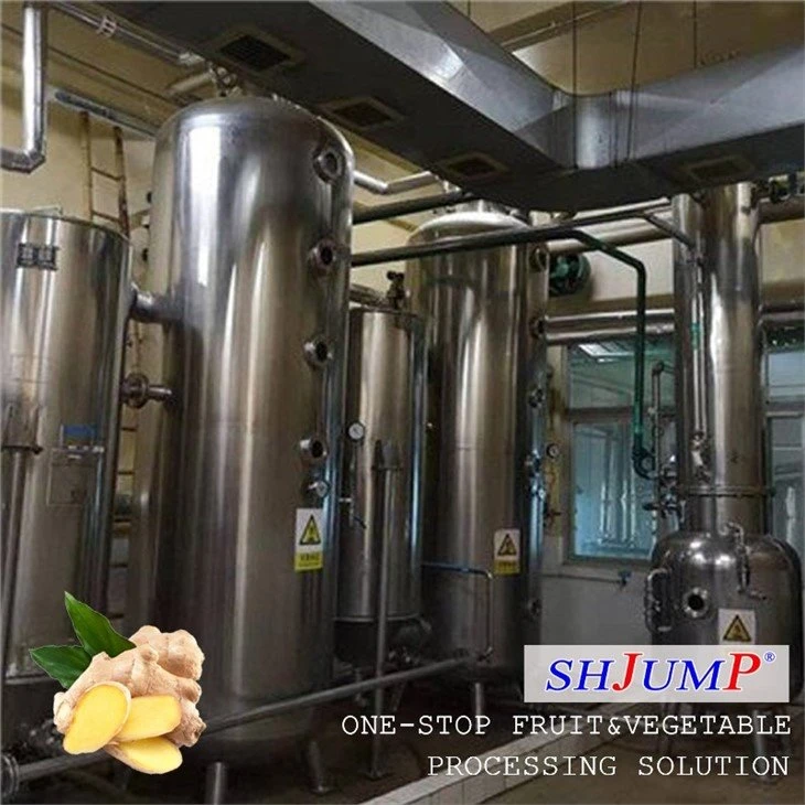 Ginger Processing Line