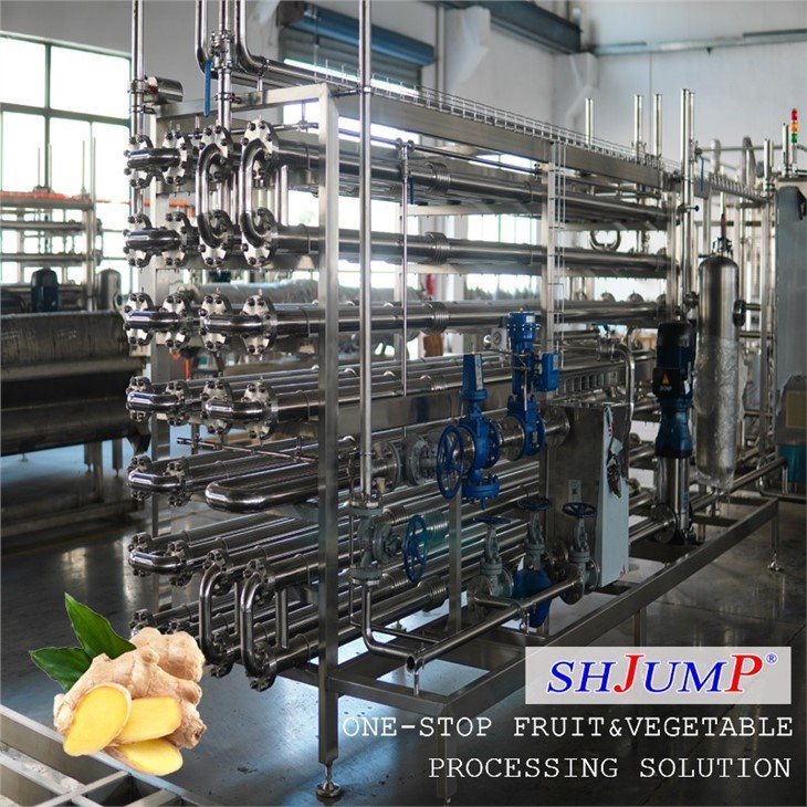 Ginger Processing Line