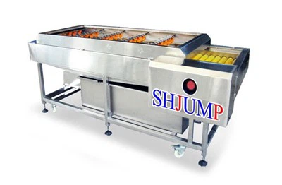 Zaub thiab txiv hmab txiv ntoo ntxuav tshuab