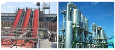 Turnkey Solution Txiv lws suav Paste Concentration Ua Kab